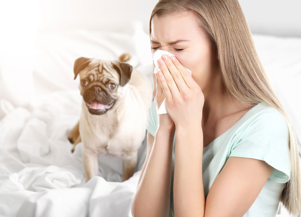 Mlada devojka ima alergiju na kućne ljubimce
